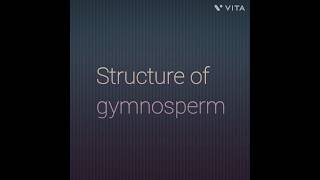 Structure of gymnosperm [upl. by Healey]