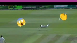 Glenn Phillips catch Marnus Labuschagne wicket  😱😱😱 [upl. by Trainer]