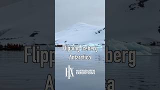 Flipping Iceberg  Antarctica  Hurtigruten Expeditions Cruise [upl. by Kirtap]