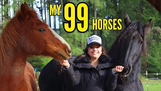 Meet My 99 Horses Living On One Acre MAGICAL [upl. by Cleasta]