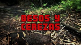 Carlos Velasco  Besos y Cerezas [upl. by Emmerie489]