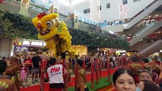 Cny 2024 Lion Dance high pole Seletar Mall Chinese New Year 初七 16 Feb 2024 [upl. by Zwiebel]