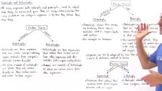 Autotrophs and Heterotrophs [upl. by Ynneg]