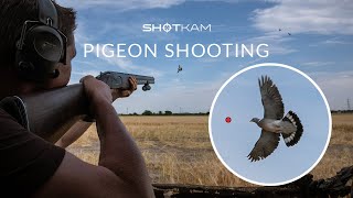 Decoying Pigeons ShotKam Gen 3 Videos [upl. by Tunnell]