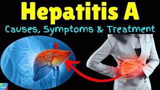 Hepatitis A – Symptoms Causes Risk Factors Pathophysiology Diagnosis Treatment [upl. by Seidnac602]