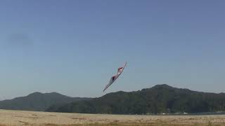 141012 Sport Kite Flyingfrom Japan [upl. by Asiaj190]