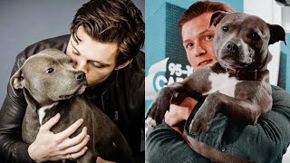 Tom Holland and his dog Tessa Compilation [upl. by Nekciv]