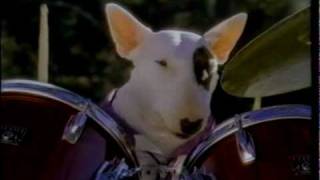 Spuds MacKenzie  Bud Light Commercial  1987 [upl. by Mahla238]