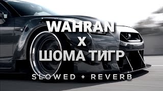 Randall Wahran x Asanrap Шома тигр Slowed  Reverb [upl. by Norris221]