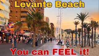 Benidorm Levante Beach FESTIVE 🥳 atmosphere is everywhere benidormbyana [upl. by Reich800]