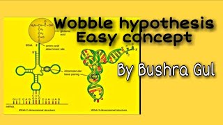 Wobbles hypothesis  Easy concept  By Bushra Gul [upl. by Columbine]