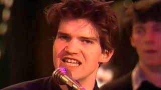 Lloyd Cole amp The Commotions  Rattlesnakes  1984 [upl. by Zerline379]