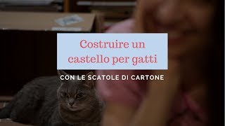 Castello per gatto con scatole di cartone [upl. by Kit]