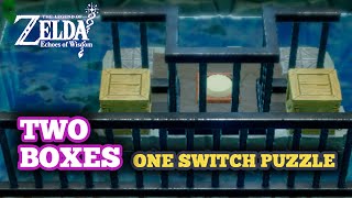 How to Do River Zora Village Cave in Zelda Echoes of Wisdom  Two Wooden Boxes amp Switch Puzzles [upl. by Eilram]