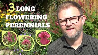 Long Flowering Perennials that Flower for Months  Plants that Keep on Flowering UK  Plant Tips [upl. by Aivonas]