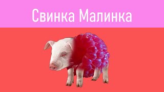 СВИНКАМАЛИНКАRASPBERRYPIG [upl. by Outlaw]