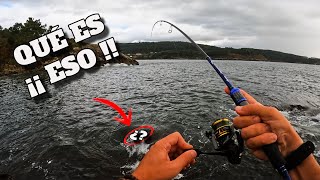 ROCKFISHING en GALICIA  COSTA DA MORTE  ¡¿Qué LLEVO CLAVADO [upl. by Acinorev]