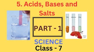 Acids Bases and Salts part1  Chapter 5  Class 7 Science  NCERT [upl. by Enail317]