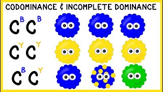 Codominance and Incomplete Dominance NonMendelian Genetics [upl. by Yirinec]