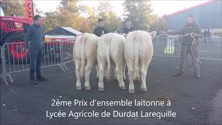 concours de bovins reproducteurs charolais à Montluçon 2018 [upl. by Duwad585]