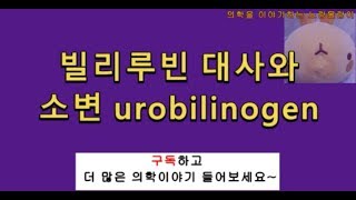 빌리루빈bilirubin 대사과정metabolism 소변요중 urine urobilinogen [upl. by Fulviah]