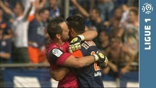 Montpellier Hérault SC  Olympique Lyonnais 51  Le résumé MHSC  OL  20132014 [upl. by Enilreug330]