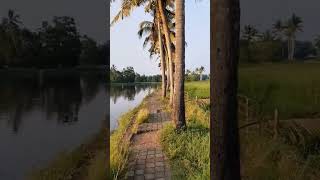 Kadambrayar Eco Tourism Village  Kochi [upl. by Okiek]