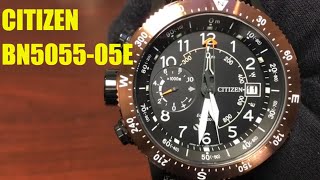 Citizen EcoDrive Promaster Altichron Altimeter Compass Watch BN505505E [upl. by Brezin746]