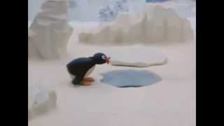 Pingu  quotNoooooquot [upl. by Asirehc]