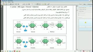 Biology Ch5  Biological Macromolecules and Lipids  Part 1 [upl. by Nettle]