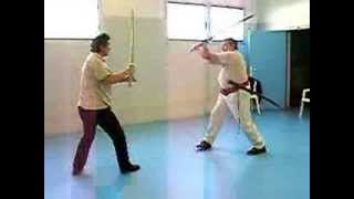 Cours particulier de sabre avec utilisation des positions directionelles du KiaïJitsu [upl. by Nediarb]