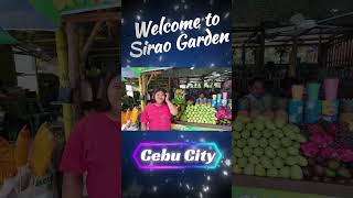 Get out and explore Cebu City  Honeymoon Highlights philippinelife marriedlife Intellectyou [upl. by Ttayh]