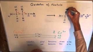 Oxidation of alcohols [upl. by Ahsienom12]