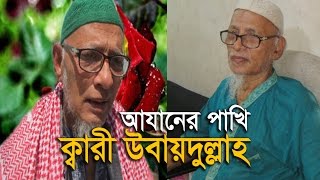 Emotional Beautiful Azan Qari Ubaydullah BD  আযানের পাখি ক্বারী উবায়দুল্লাহ [upl. by Renaldo]