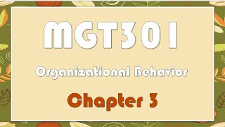 MGT301 Organizational Behavior  chapter 3 quotsamplequot [upl. by Eiclud]