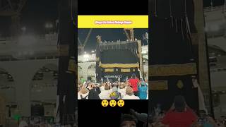 😲🕋duniya ka sabse mahanga kapda sortvideo [upl. by Jerrilee506]