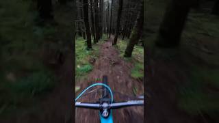 Ravensdale MTB  Twixer born slippy jump line mtb ridemtb mountainbiking ytcapra irelandmtb [upl. by Pettit495]