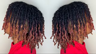 Dreadlock Two Strand Twist Out  Curly Hair [upl. by Nylra426]