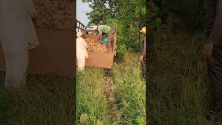 Road Leveling 🚧🛣️😱😱  AgriFarm Vlog  shorts ytshorts farming [upl. by Wenona]