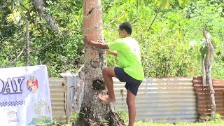 Coconut Climbing Competition World Tsunami Awareness Day Niutao Beach Nukuleka Kingdom of Tonga [upl. by Qirat]