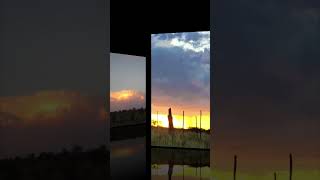 Sunset Radiance shortvideo sunsets kalahari mood photography landscape evening romantic [upl. by Aciretnahs]