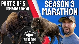 Cross Timbers Bison SEASON 3 MARATHON Part 2 of 5 [upl. by Glynas]