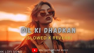 Dil Ki Dhadkan Slowed  Reverb  Mind Fresh Lofi Song Mind Relax Lofi Mashup  Anu Deep Tirkey [upl. by Dnaltiak]