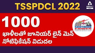 TSSPDCL JLM Notification 2022  TSSPDCL JLM Updates Section Process Age Educational Details [upl. by Aisanat648]