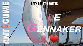 ⛵️Le Gennaker est de sortie petit temps à la voile nav vers L’ouest Ah  rapido le Lavandoux [upl. by Madonna]