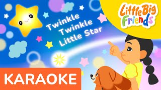 Twinkle Twinkle Little Star Instrumental 🌟  Little Big Friends KARAOKE 🎤 [upl. by Innad]