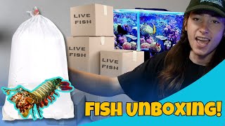 Saltwater Fish UNBOXING INSANE [upl. by Longfellow]