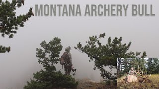 Elk Hunting  Montana Archery Bull hunting [upl. by Chuipek159]