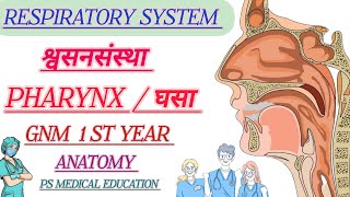 RESPIRATORY SYSTEM  PHARYNX  ANATOMY  GNM 1ST YEAR  MARATHI NURSING CLASSES [upl. by Laumas]