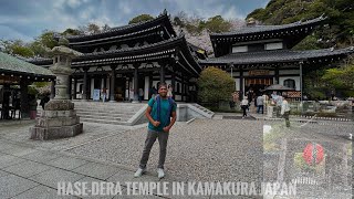 World famous Hasedera temple Kamakura Tokyo kamakura hasederatemple japan tokyo [upl. by Tewfik917]